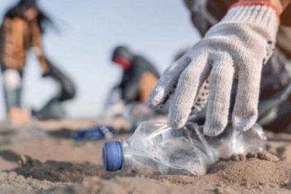 ESCULTISMO Y MEDIO AMBIENTE