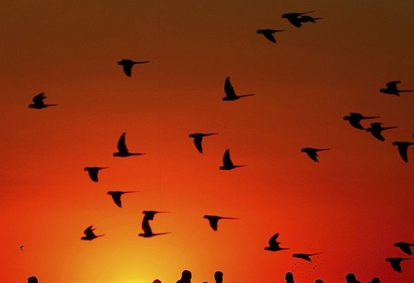 o que nos torna humanos