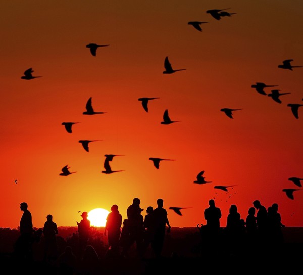 o que nos torna humanos